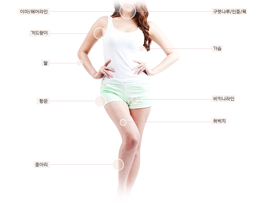 이마·헤어라인, 구렛나루·인중·목, 겨드랑이, 가슴, 팔, 비키니라인, 항문, 허벅지, 종아리 제모 부위