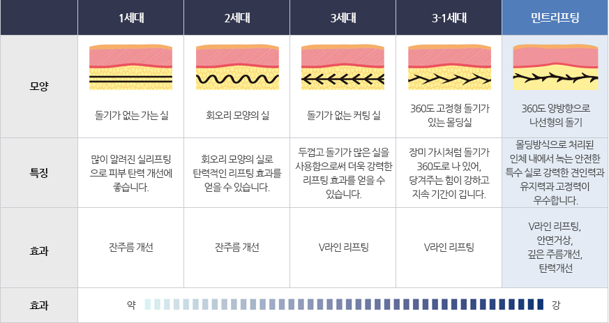 민트 리프팅