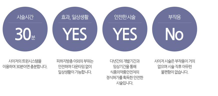 사이저