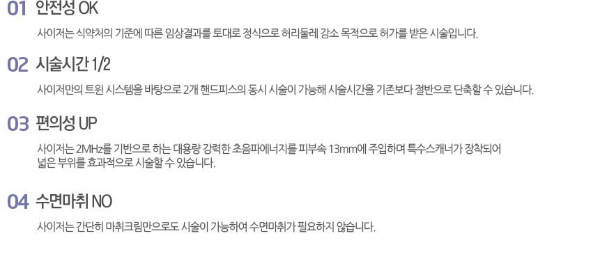 사이저